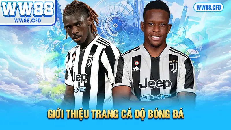 Giới thiệu trang cá độ bóng đá